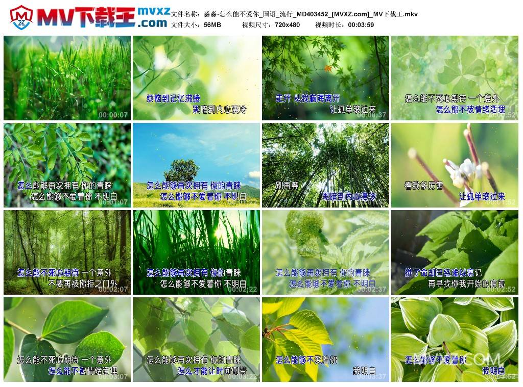 淼淼-怎么能不爱你_国语_流行_MD403452